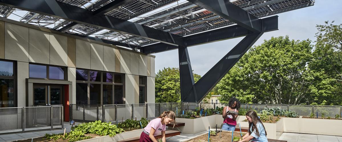 Image of children gardening in raised beds below a canopy of photovoltaics