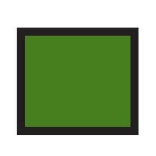 A green square with a dark grey border